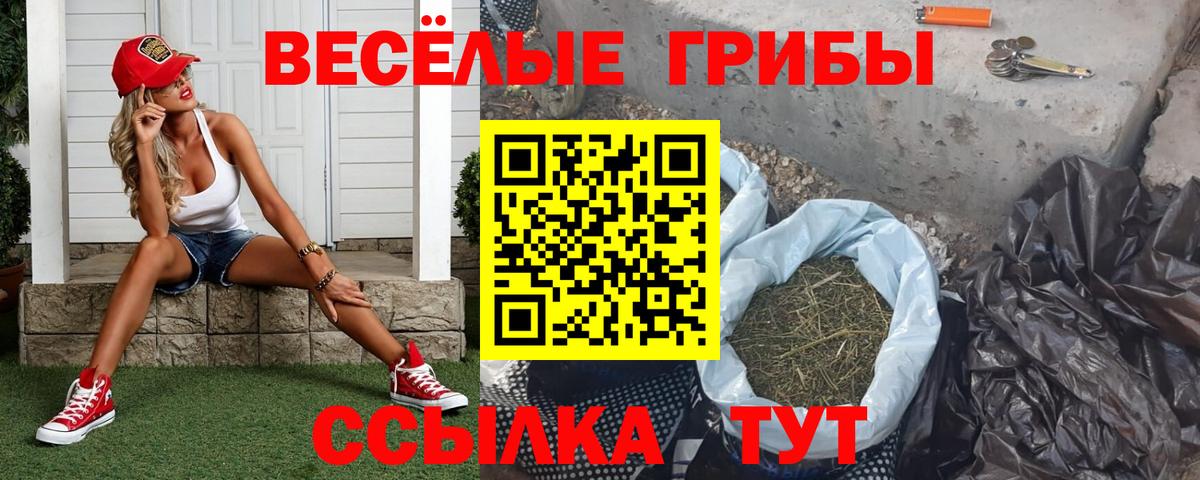 Галлюциногенные грибы GOLDEN TEACHER Энгельс