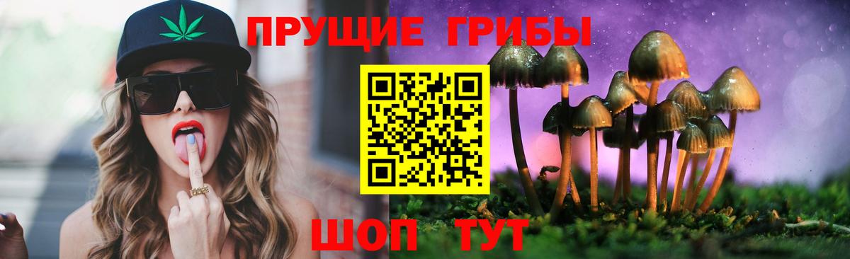 Галлюциногенные грибы MAGIC MUSHROOMS  Вход с VPN  Энгельс  Псилоцибиновые грибы ЛСД 