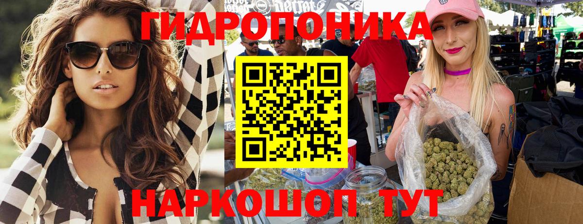 Канабис OG Kush  Бошки Шишки план  Вход с VPN  Энгельс  Бошки Шишки конопля 